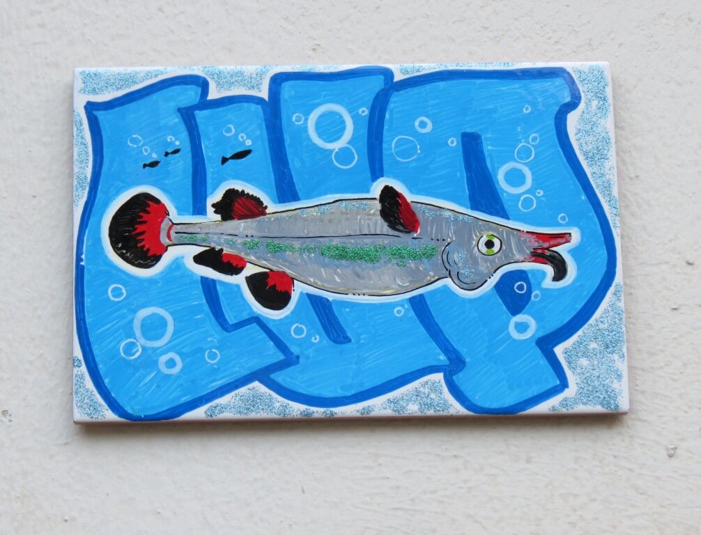 CUP-Fisch Nr. 5