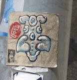 NOI-Serie 9.