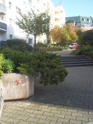 Rumspitze in der Geiststraße 2