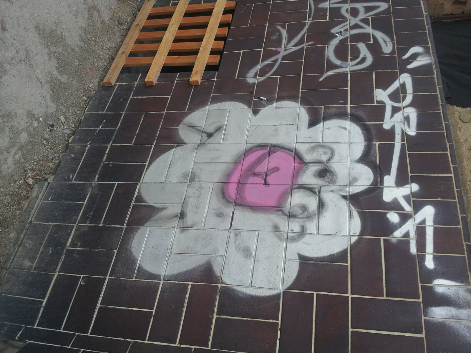 Scha(r)f