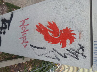 Vogel in der Hardenbergstraße