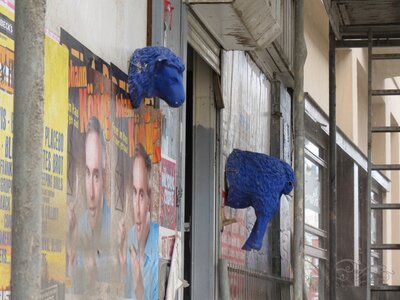 Blaue Wandschafe