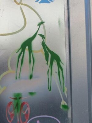Zwei Giraffen