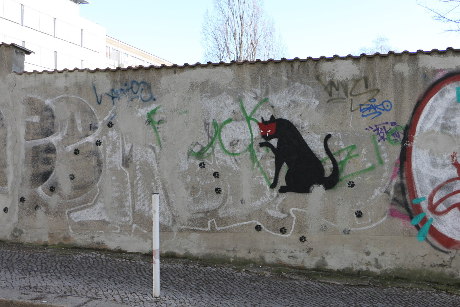 Katze mit Maske