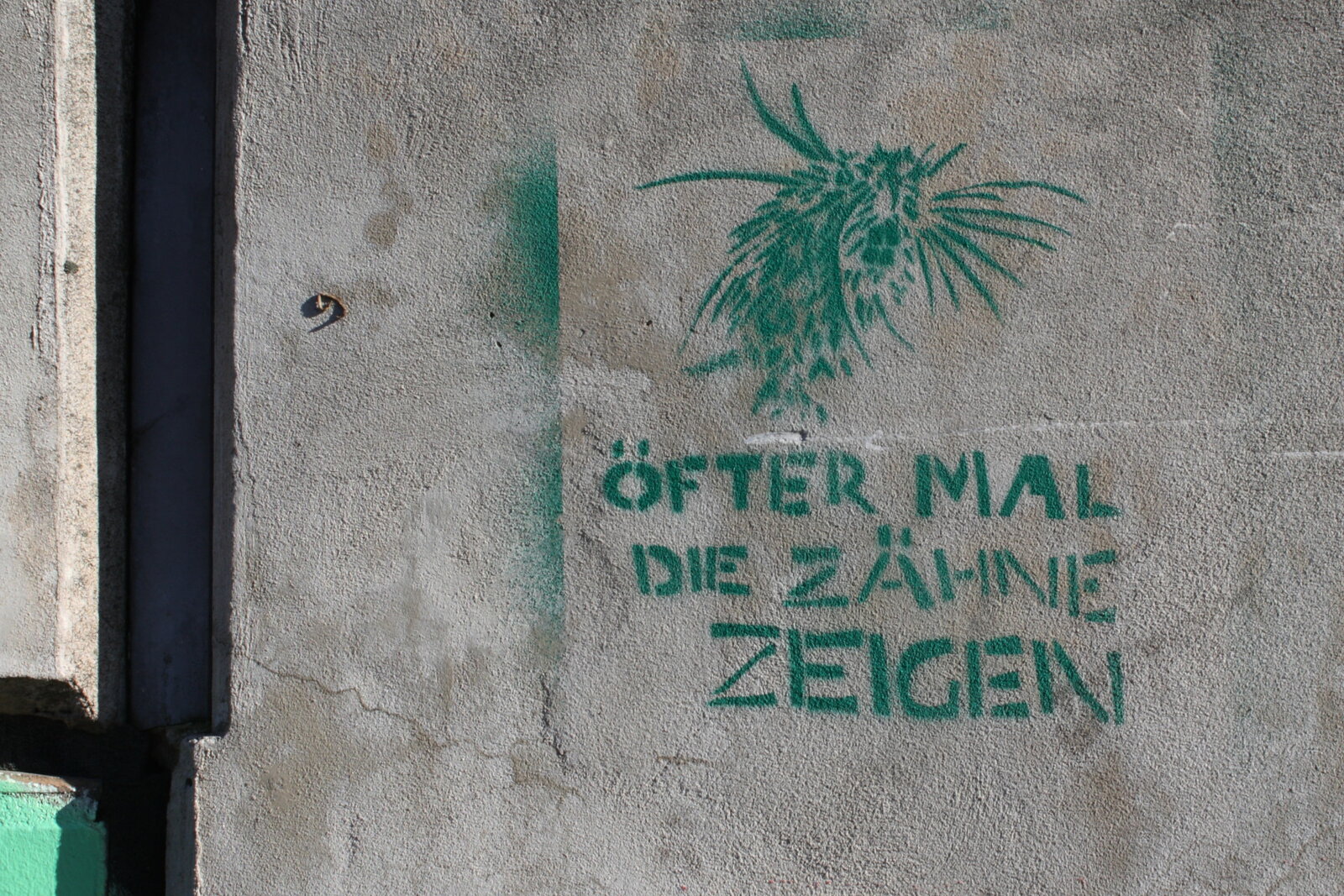 Öfter mal die Zähne zeigen