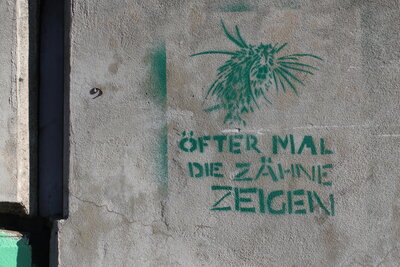 Öfter mal die Zähne zeigen