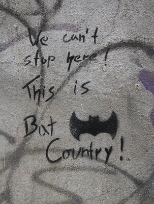 Bat Country
