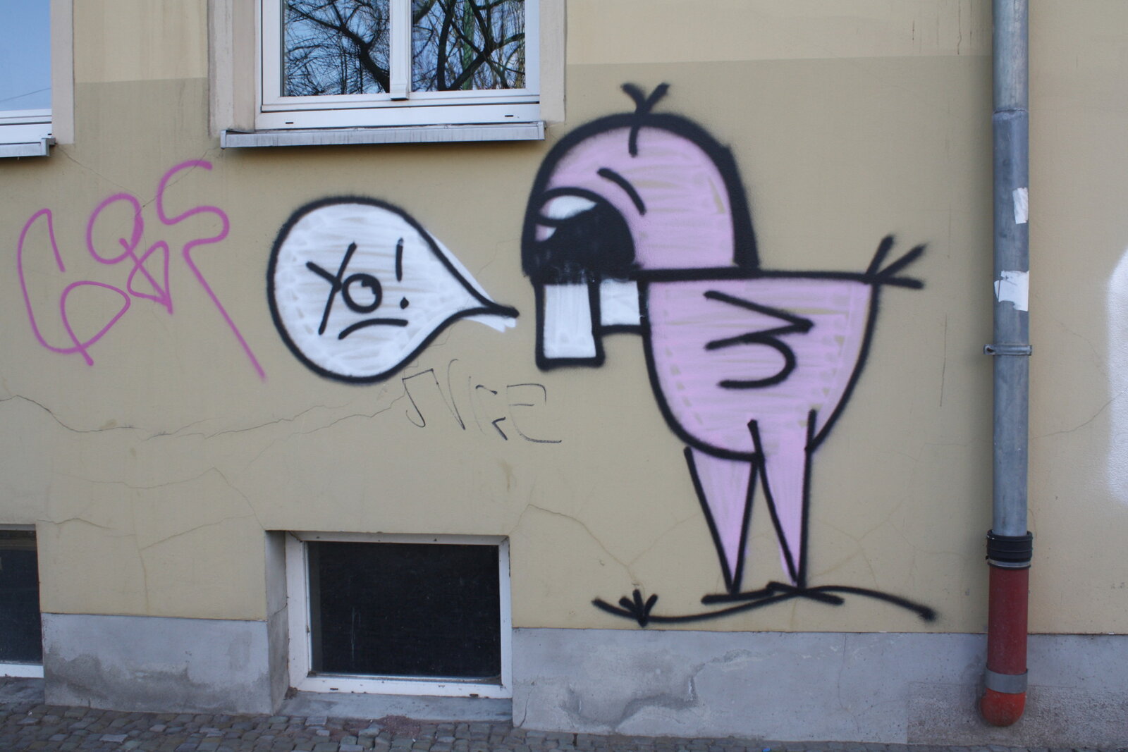 Vogel in Pink ruft YO!