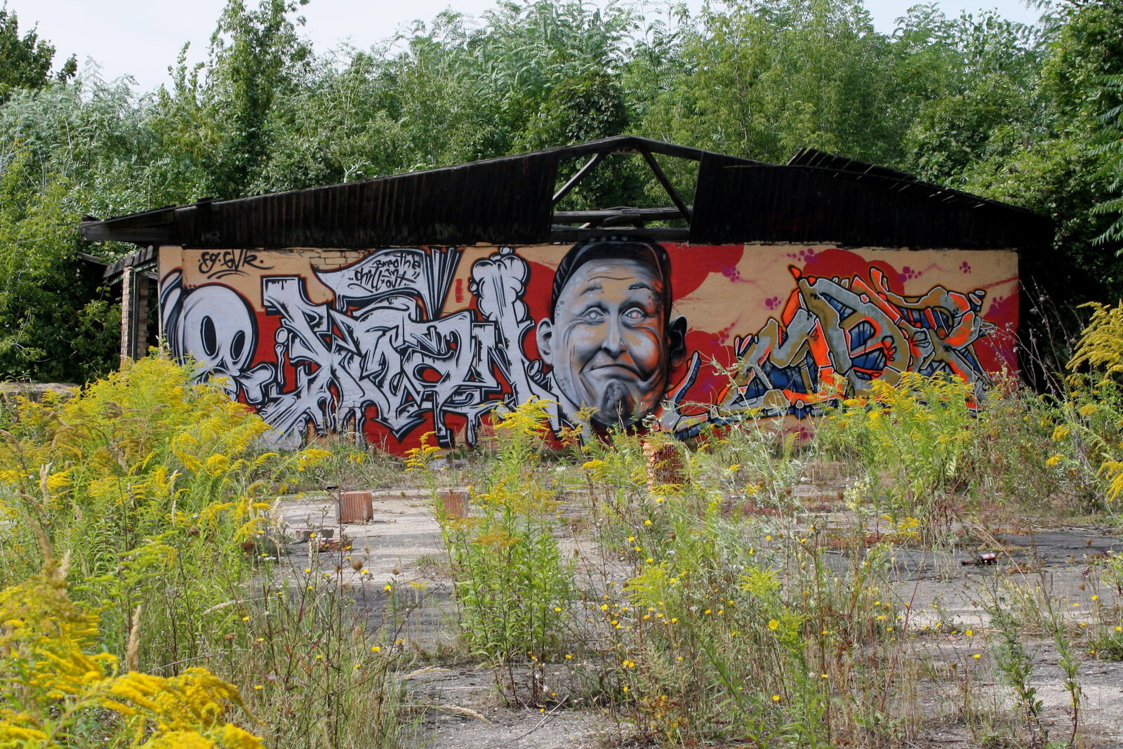 Graffiti bildlich: Freundlicher Zeitgenosse