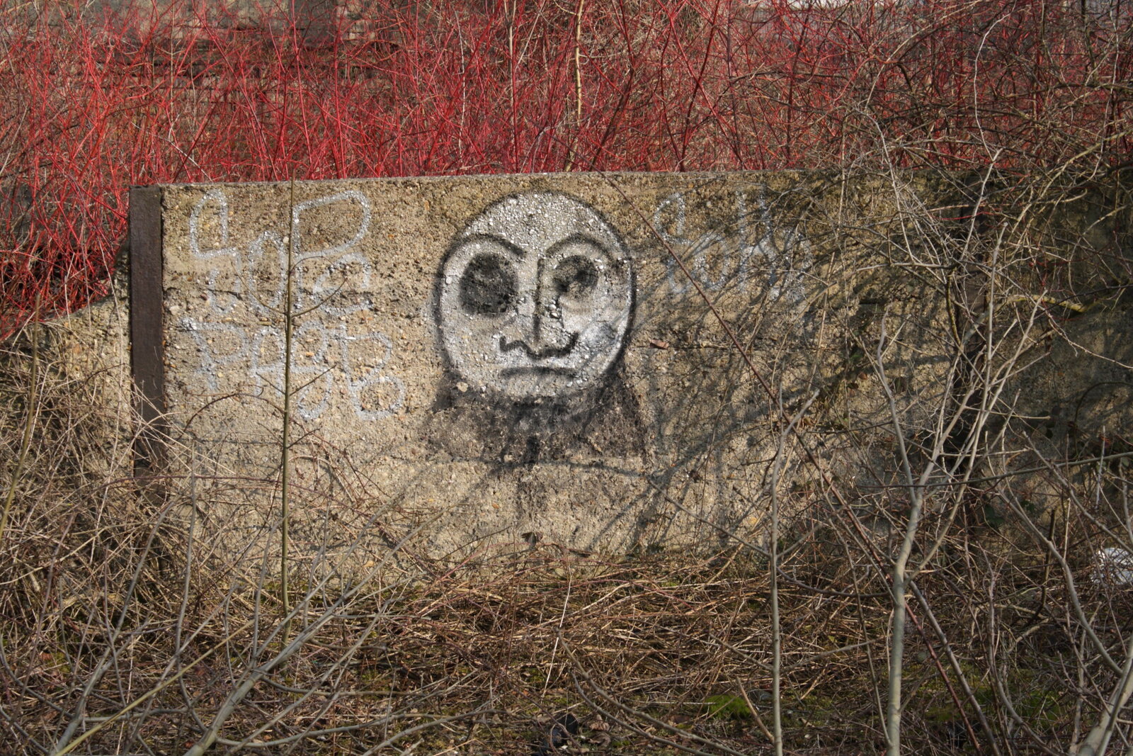 Graffiti bildlich: Gesicht mit Bart