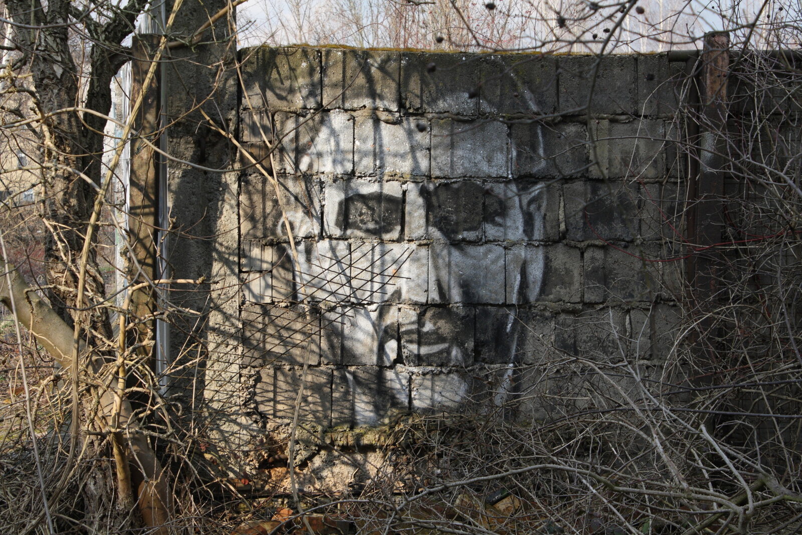 Graffiti bildlich: Toller Typ hinter Gittern