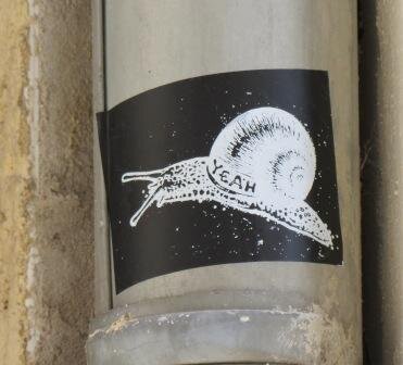 YEAH-Schnecke