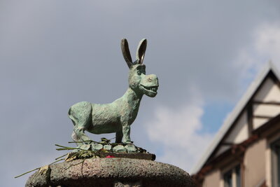 Der neue Esel am Alten Markt