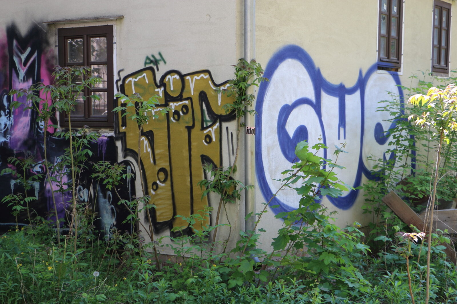 GIF, GWS_IMG_7975