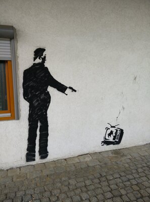 Shoot your television