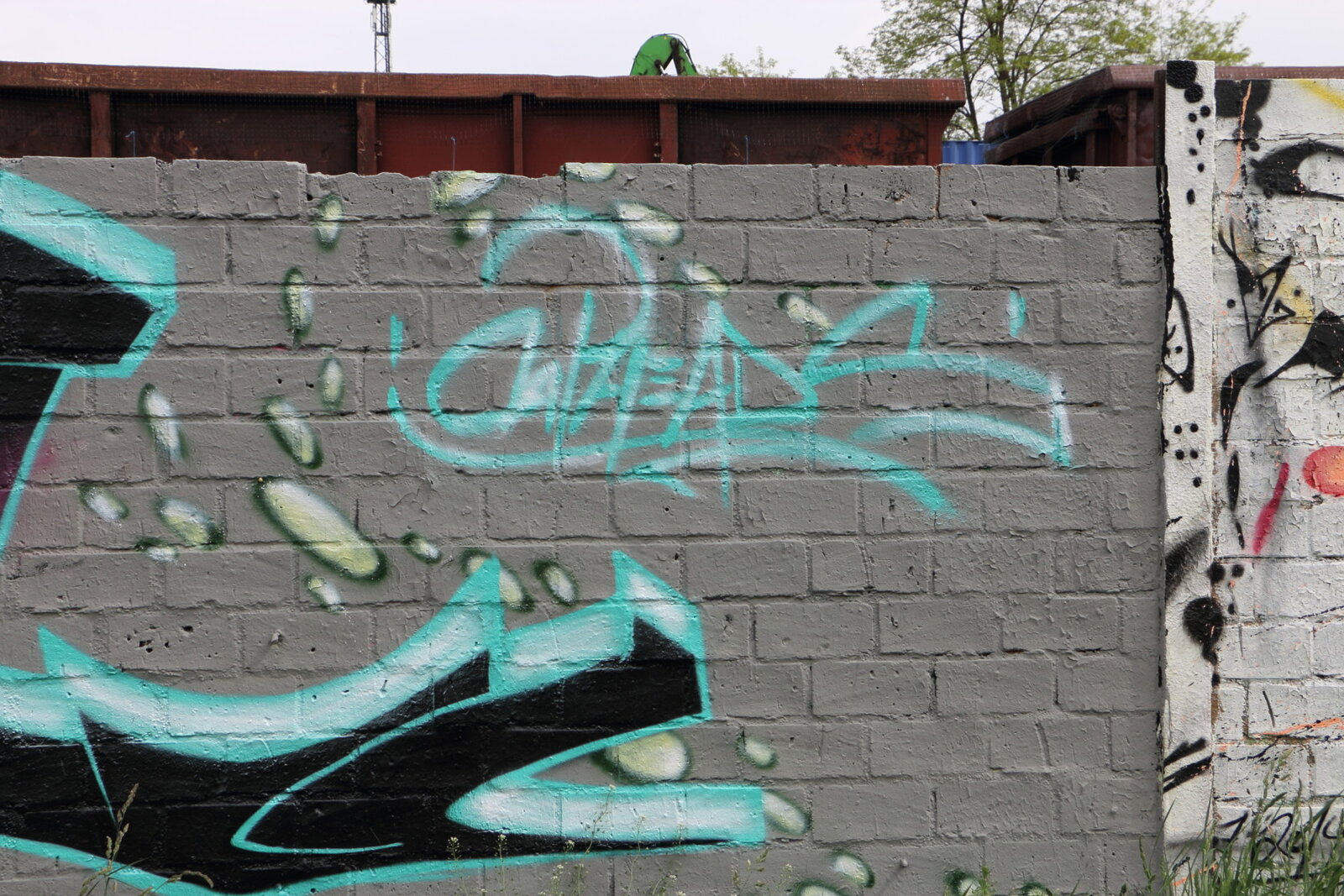 10c-CAP-HEADS_IMG_7389