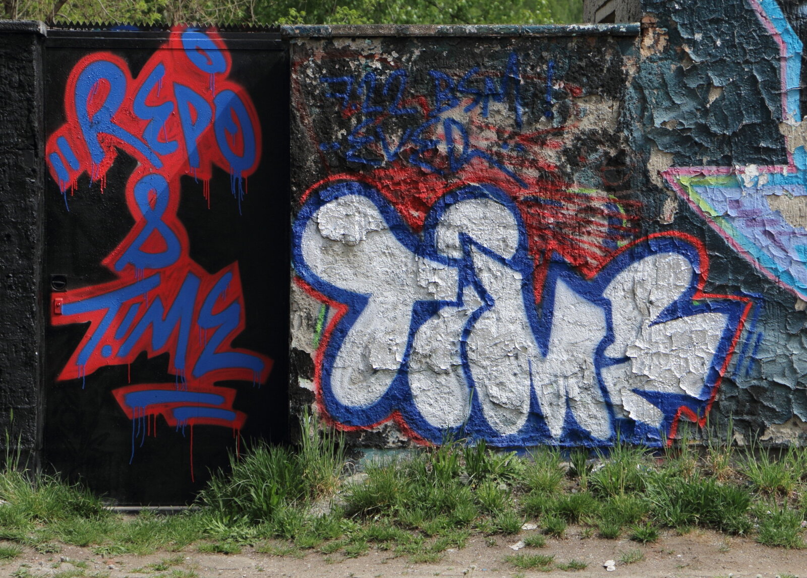 45c-TIME_IMG_7437