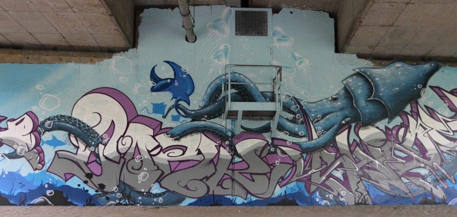 2g-Krake_IMG_8991