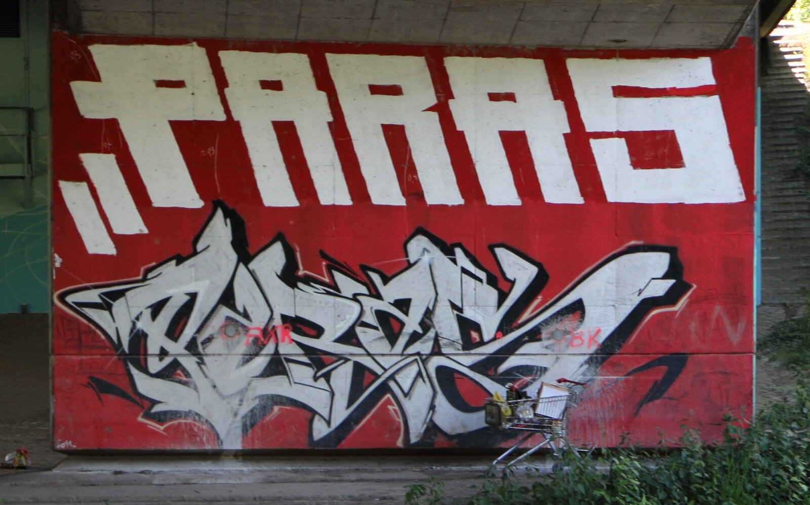 6-2011, PARAS, Brücke B80_IMG_8829