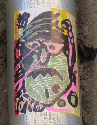 TORF 31