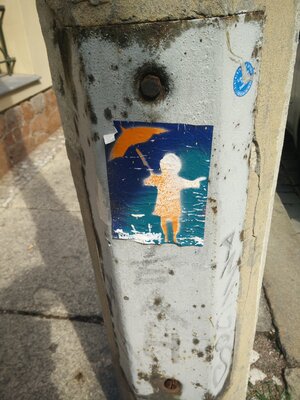 Schirmelinchen in der Abderhalden-Straße