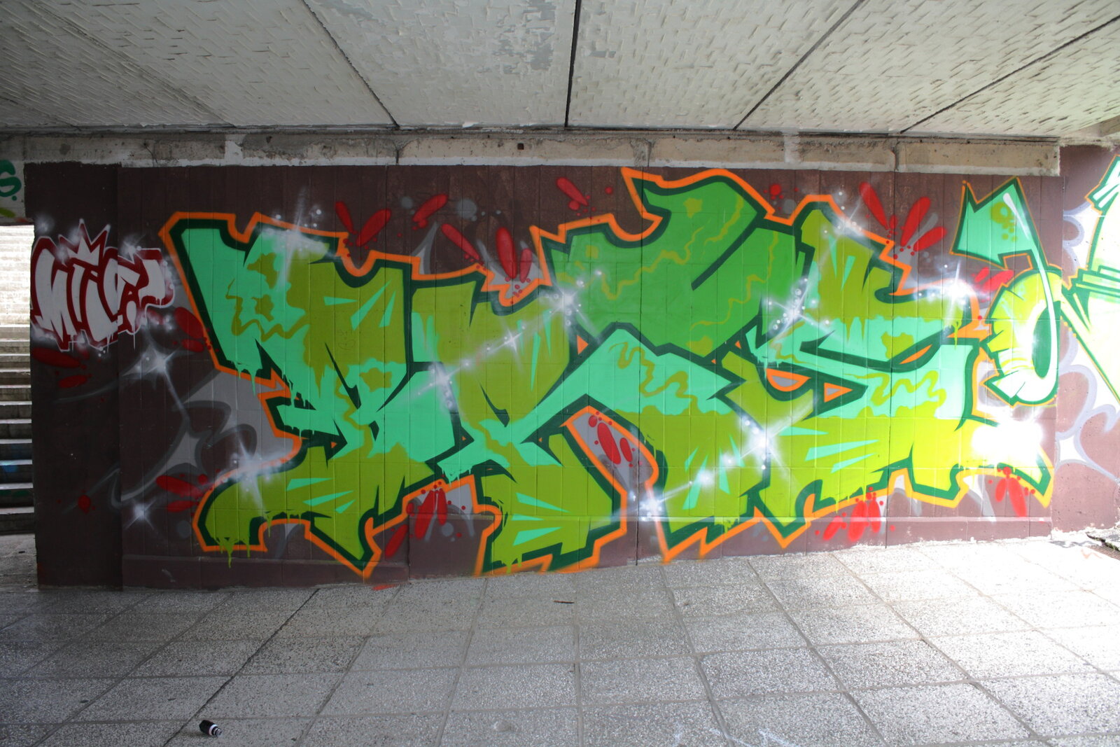 11a-_MG_6451