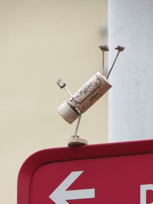 Korkie-Sportler 3.