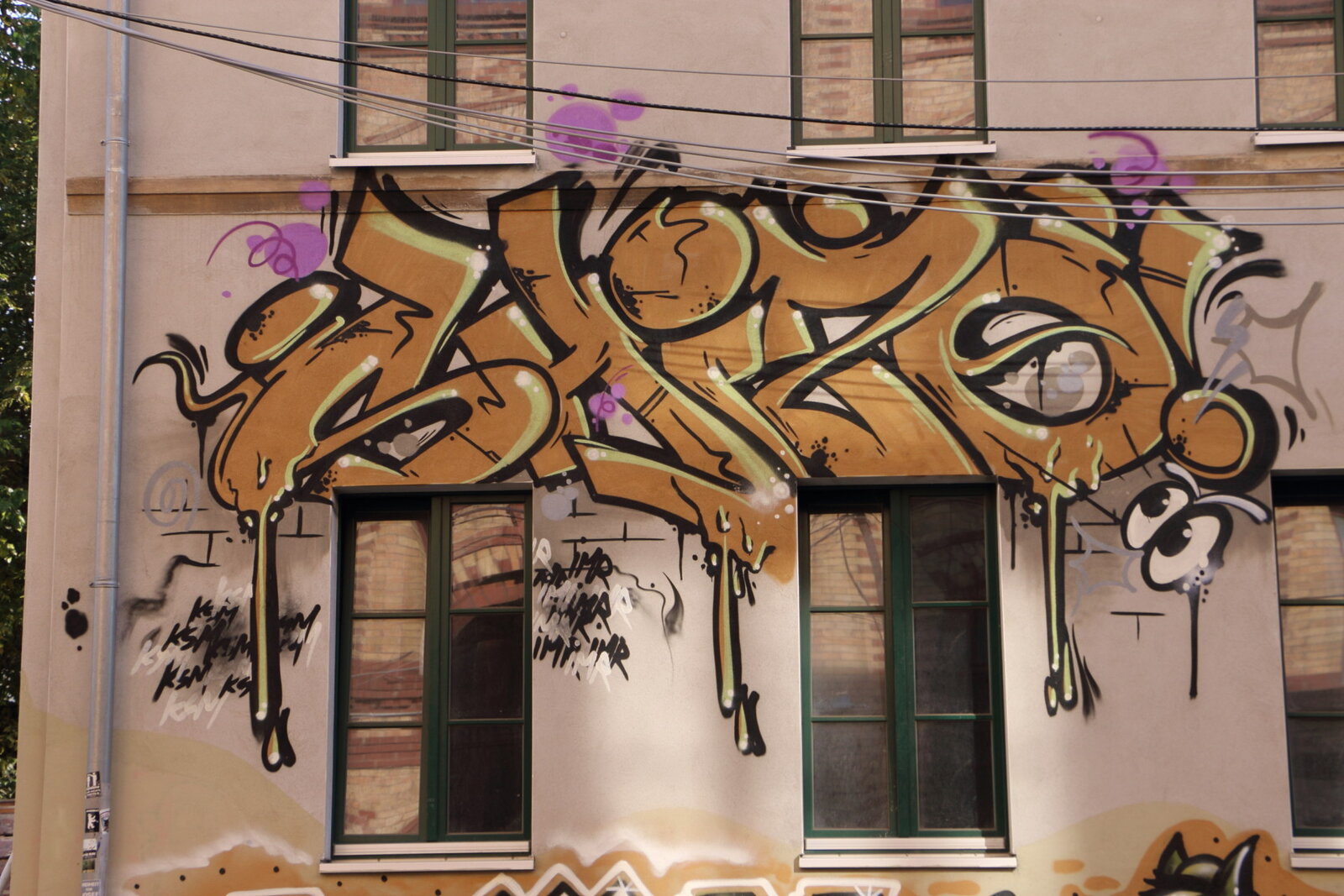 1b-Bölli 5, SHIZO_IMG_0905