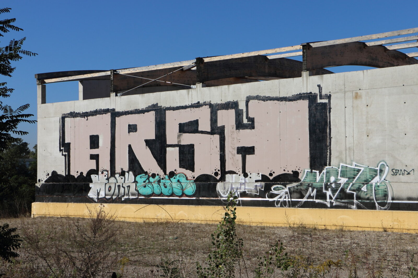 ARSH...