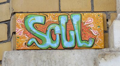 Soul-Fliese Robert Blum