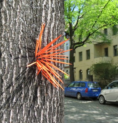 Rotes Stacheltier