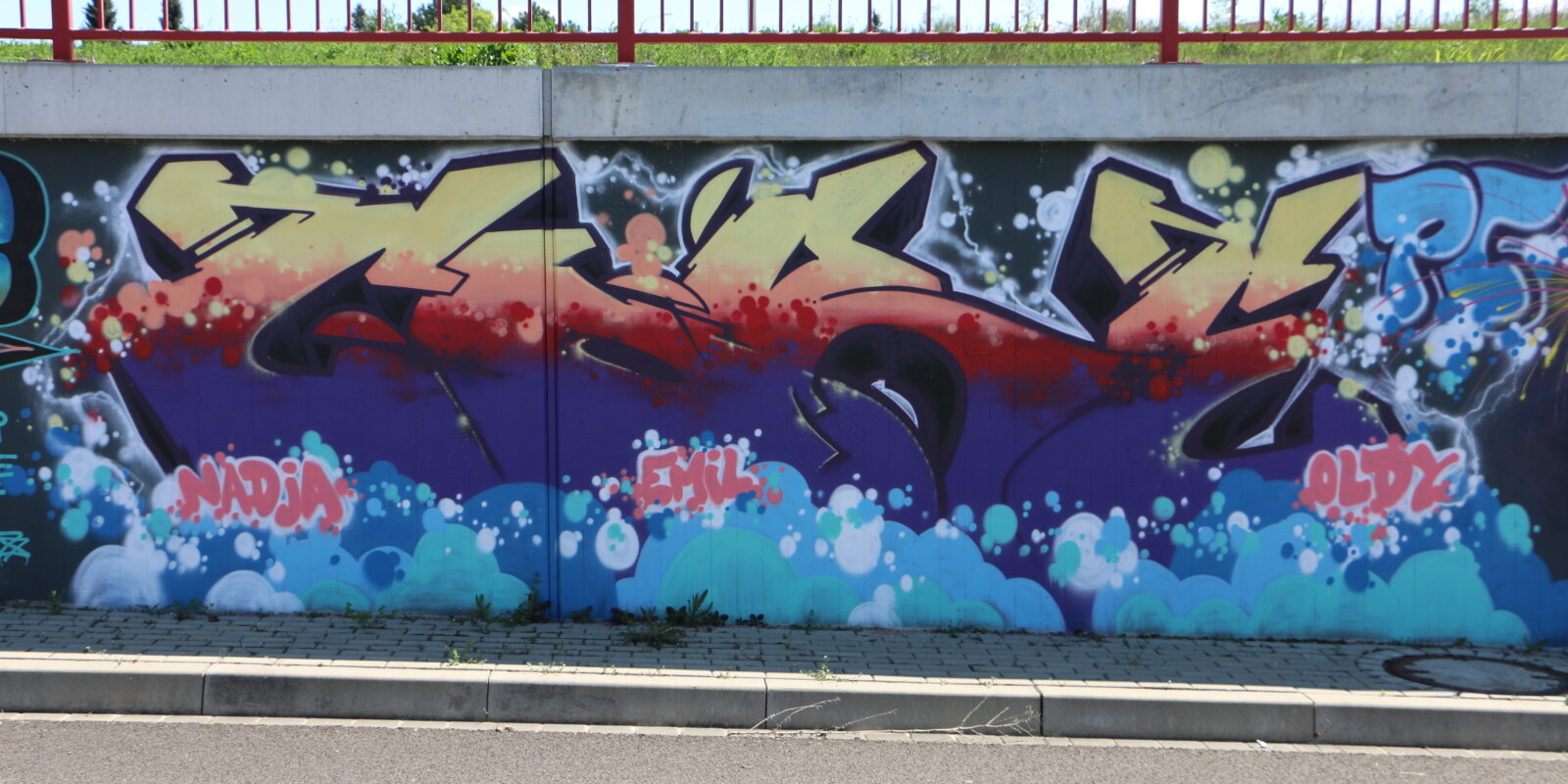 14-IMG_8822v