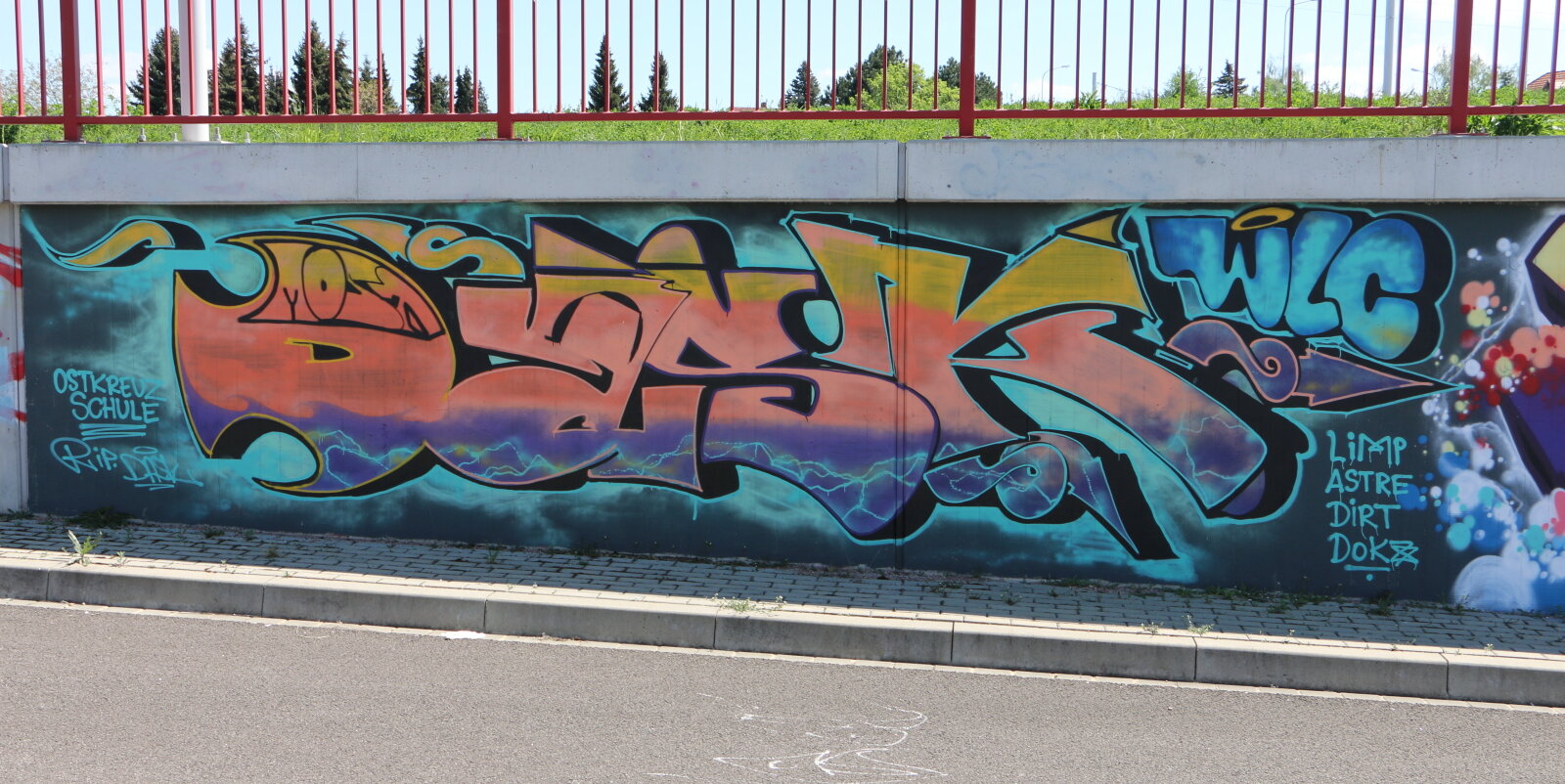 15-IMG_8821v