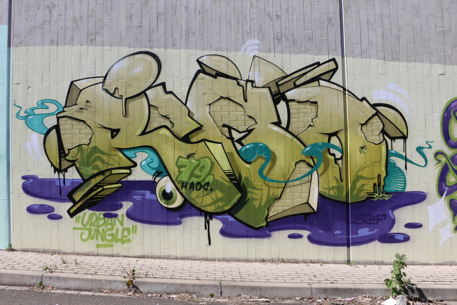 5-RICO 79_IMG_8799v