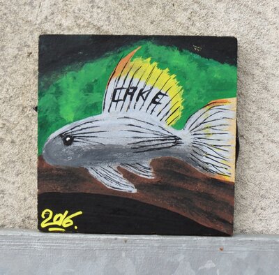 CAKE mit neuem Fisch