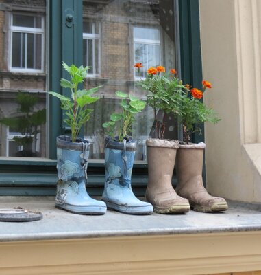 Bepflanzte Gummistiefel im Fenster