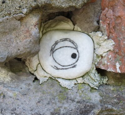Augensteine 11
