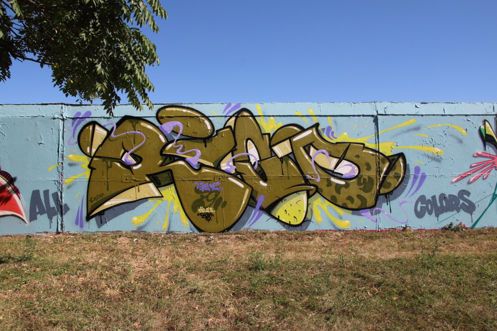 119a-RICO_IMG_2297v