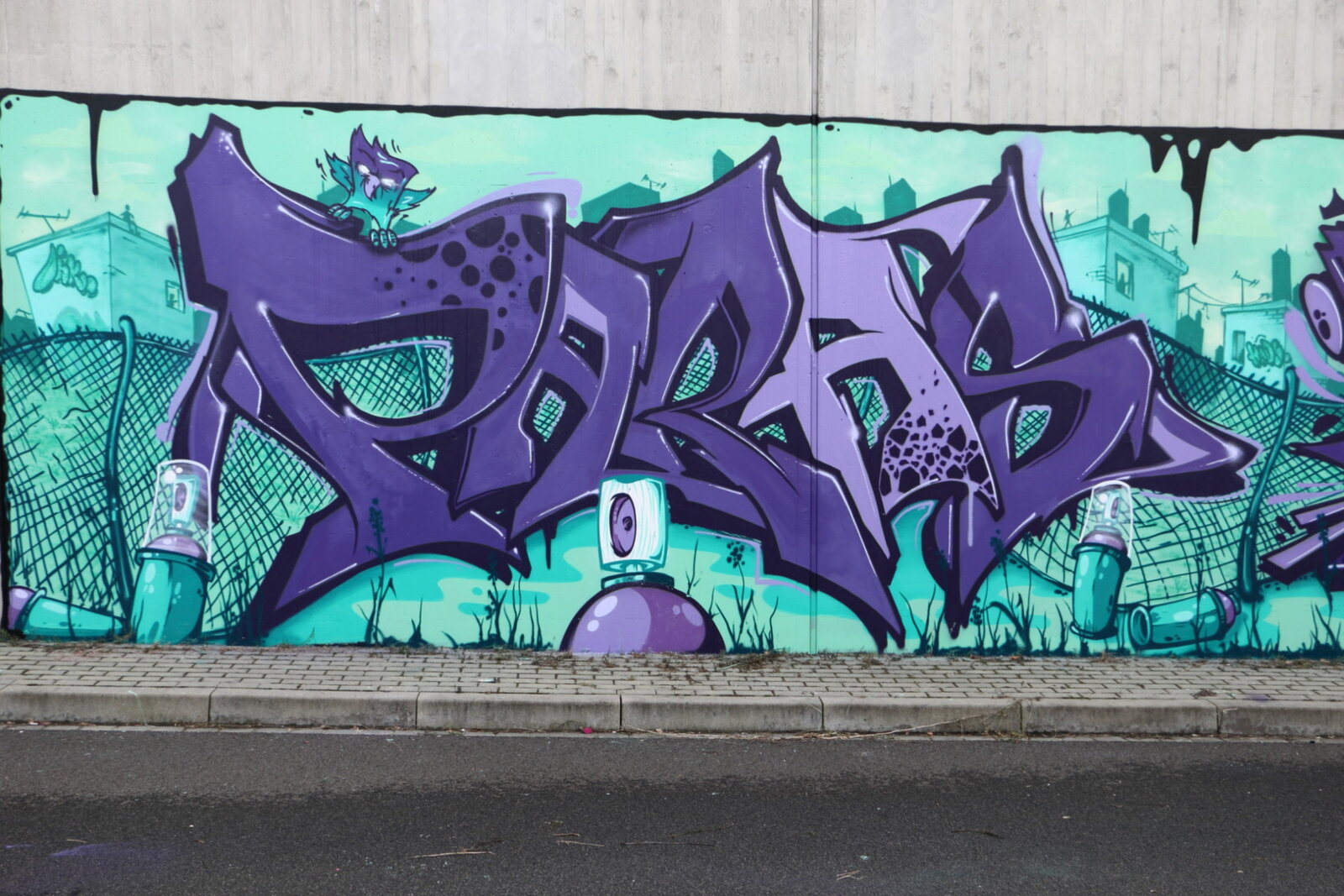 22a-paras_img_4175v