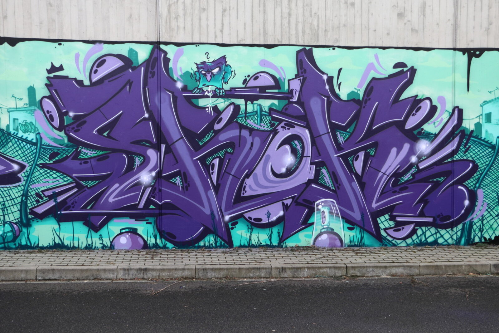 22b-arsh_img_4176v