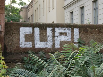 CUP/Dick-Nachahmer? 3.