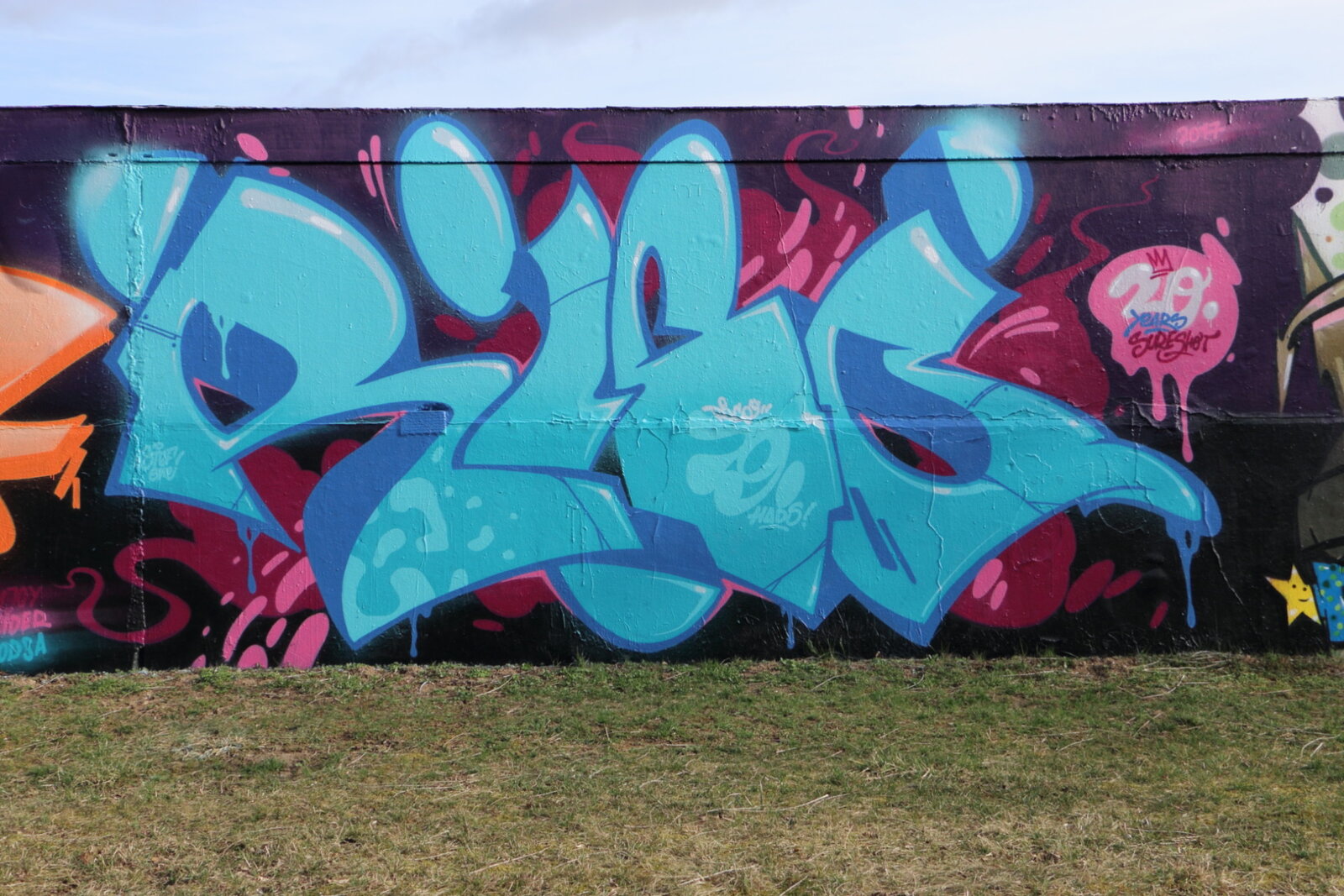 149b-RICO_IMG_4793v