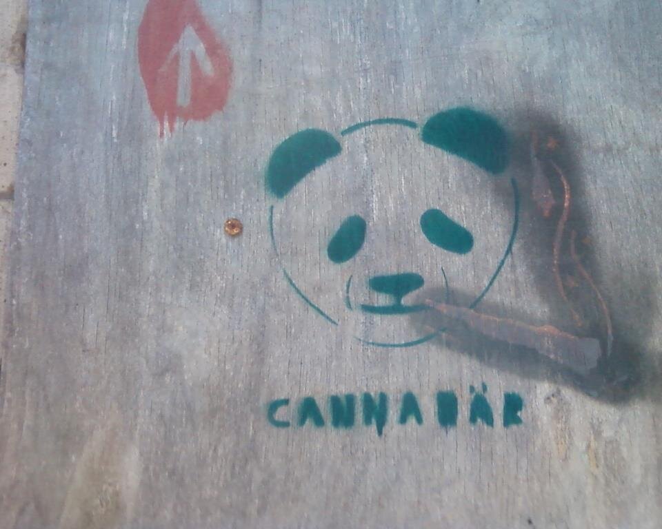 Panda am Neuwerk