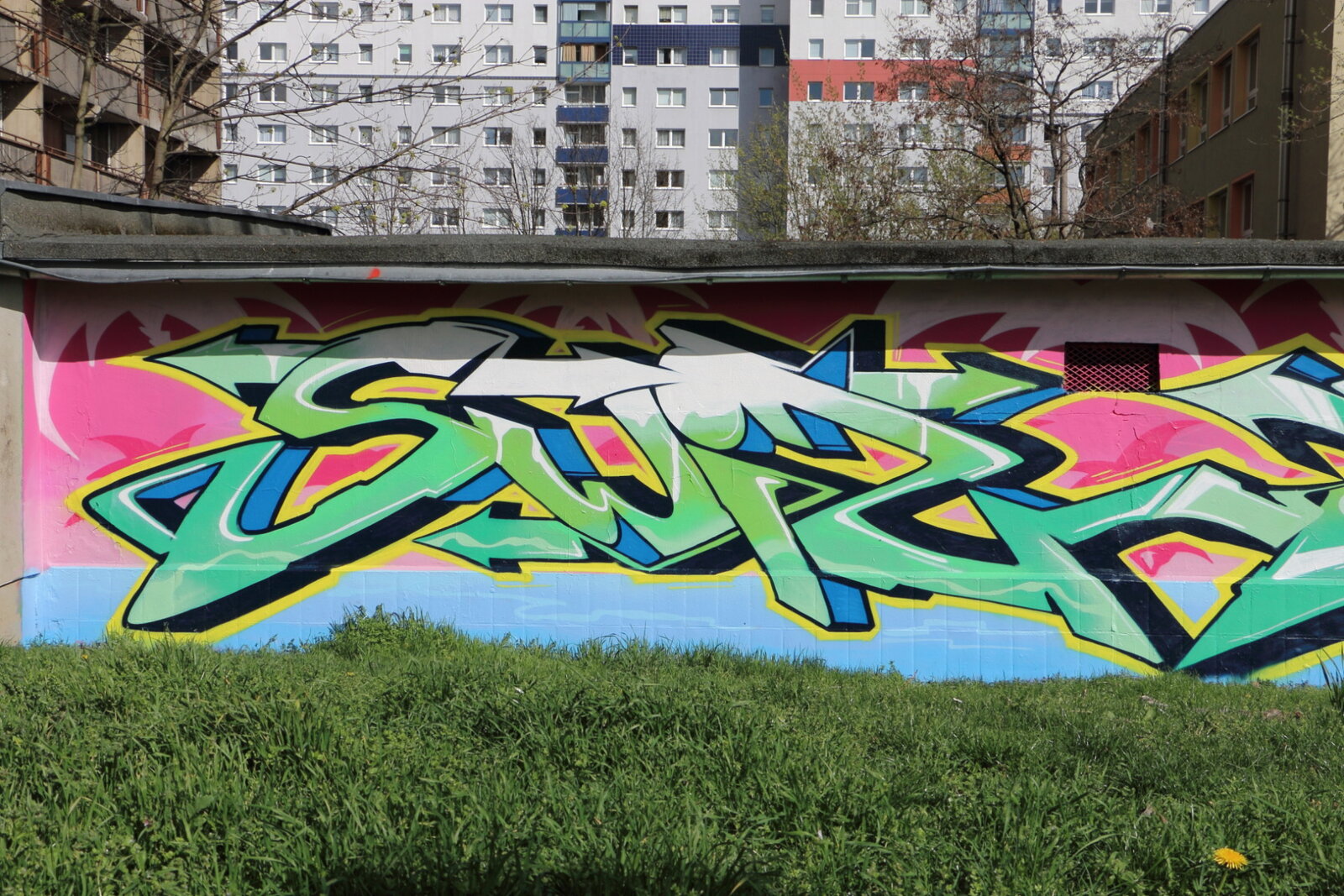 11a-SWIZ_IMG_5112v
