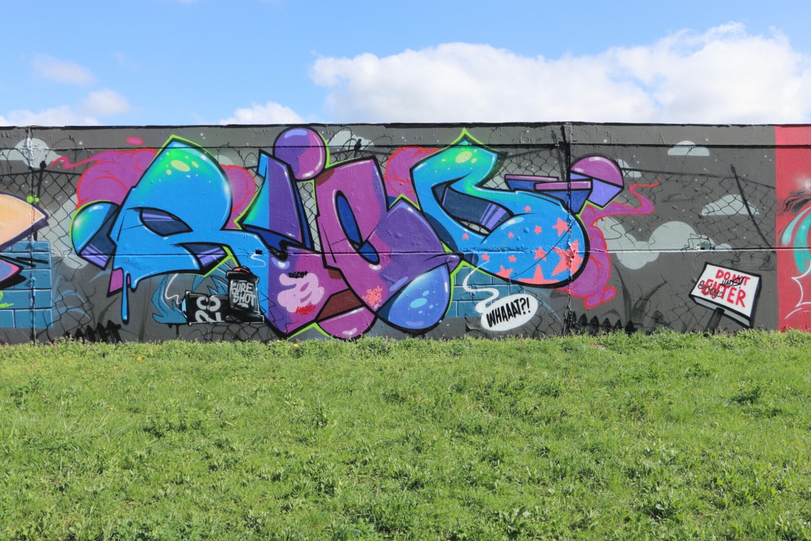 153b-RICO_IMG_5121v