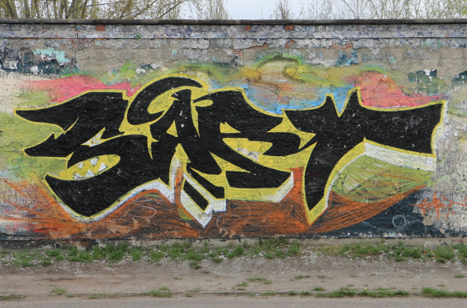 106a-SART_IMG_5154v