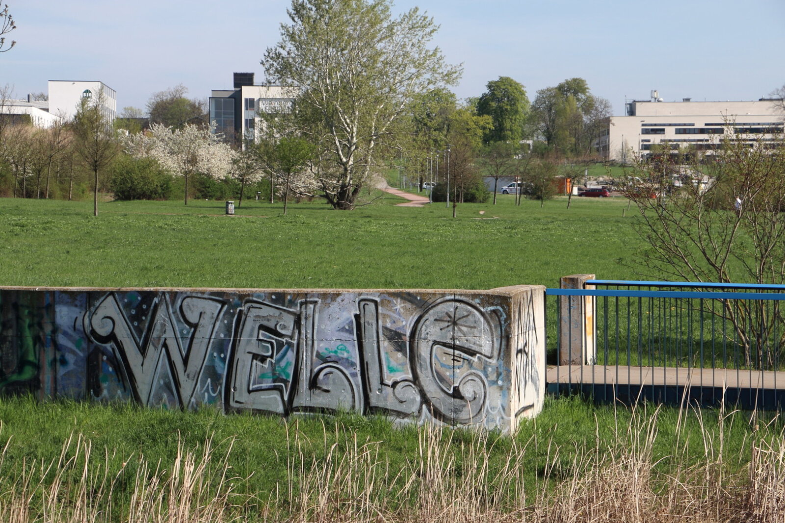 WELLE, (Panik??), Weinbergwiesen_IMG_5236v
