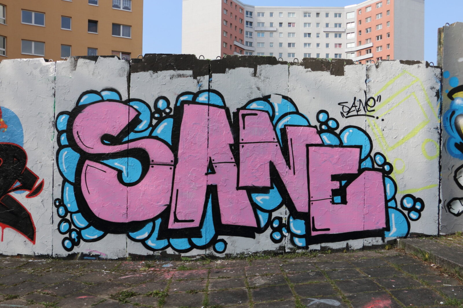 100a-SANE_IMG_5393v