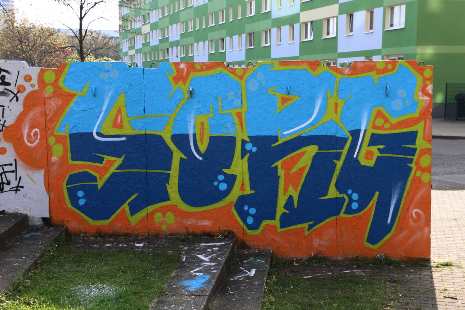 100e-SORG_IMG_5398v