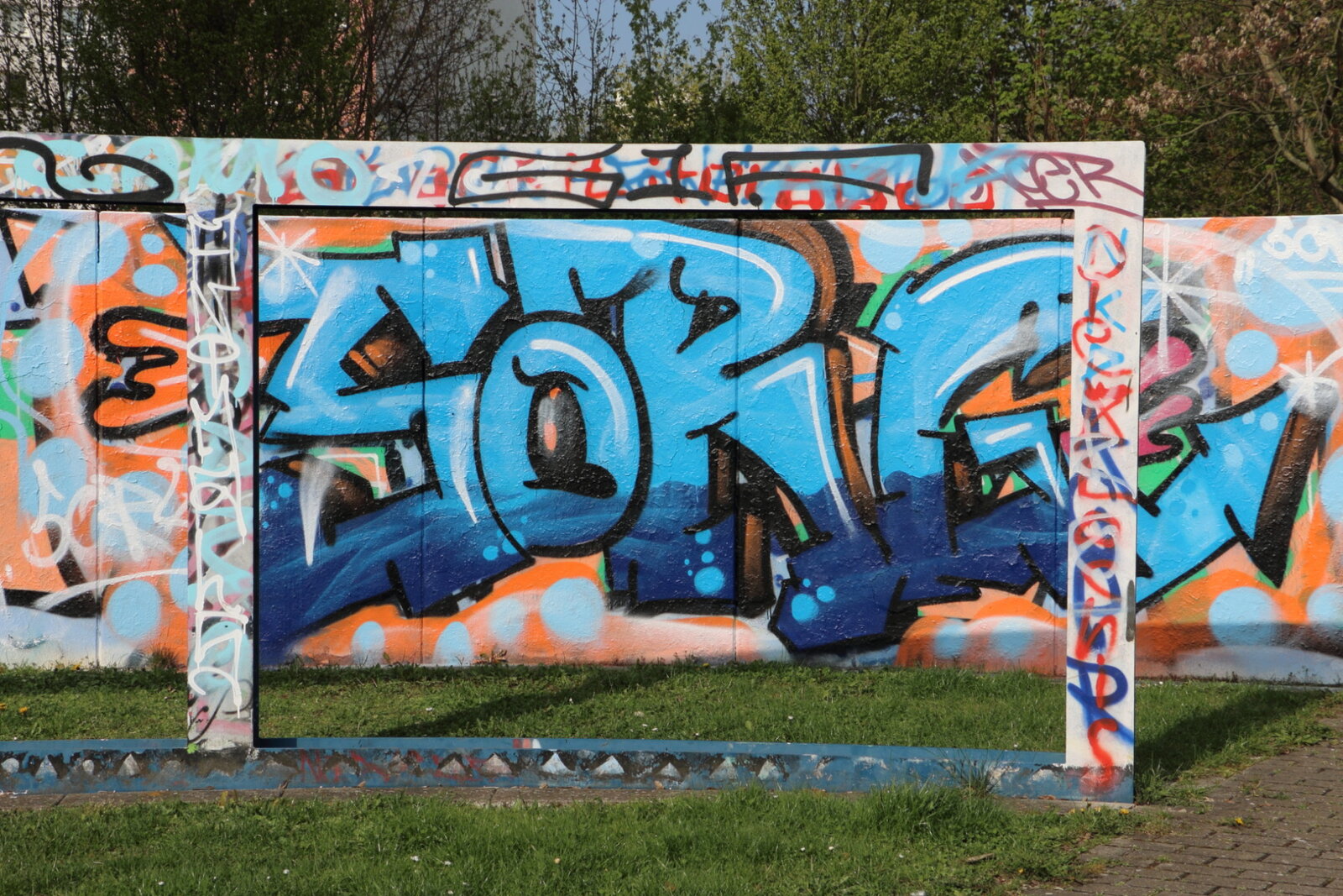 100f-SORG_IMG_5402v